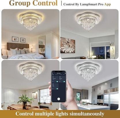 Silver 24" Modern Flush Mount Chandelier for Living Room, LED Crystal Ceiling Light for Bedroom,Elegant Dining Room Lighting Fixture with Remote Control, 3CCT Dimmable