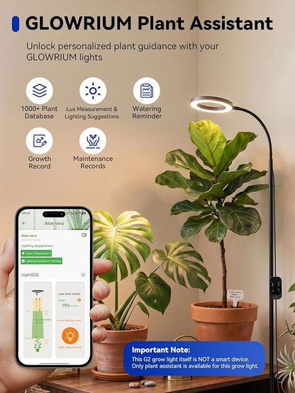GLOWRIUM Grow Lights for Indoor Plants,20W Full Spectrum LED Plant Light with Stand,Adjustable Height,3/9/12H Timer,6 Dimmable Levels & 3 Lighting Modes (Black-Single Head)