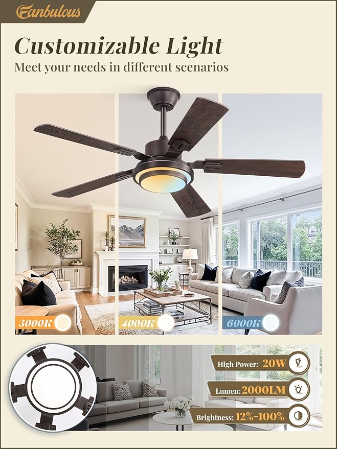 Fanbulous 48 Inch Ceiling Fans with Lights and Remote, Oil Bronze Ceiling Fan with 8 Dual-Color Blades, Indoor/Outdoor Large Ceiling Fans, Reversible DC Motor, 6-Speed, 3CCT for Living Porch Patio