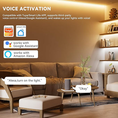PAUTIX WiFi 5-in-1 LED Controller Dimmable for Monochrome CCT RGB RGBW RGBCCT LED Strip Lights Compatible with Tuya APP/Smart Life/Alexa/Google Home/Siri,DC12-24V Lights Controller(Without Battery)