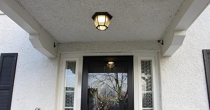 Design House 578518 Canterbury II Integrated LED Outdoor/Indoor Ceiling Light with Clear Glass for Porch Entryway Patio, Black