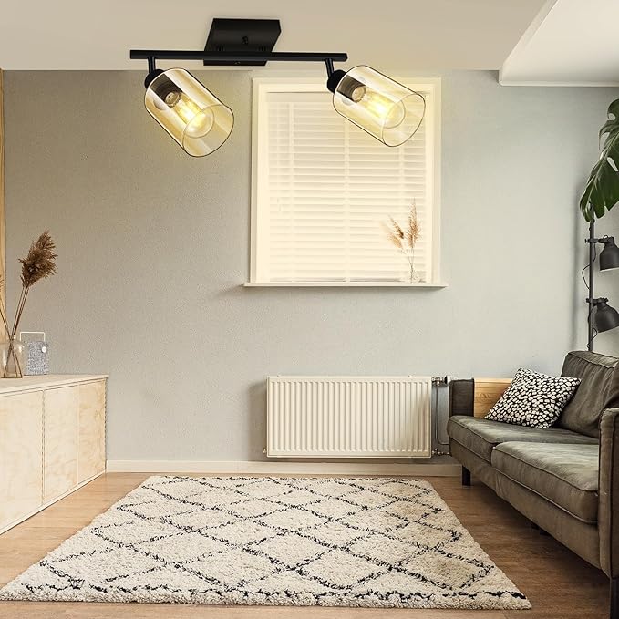 BoostArea LED 2 Light Track Lighting Kit, 2 Way Ceiling Spot Lighting with Glass Lampshade, Flexibly Rotatable Light Head for Kitchen, Living Room, Bedroom, Bulb Not Included