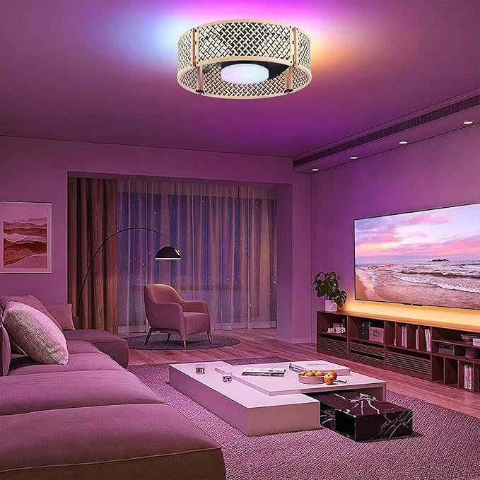 Ganeed 20" Boho Caged Fandelier with Lights, 18W Dimmable LED Rattan Ceiling Fan with Lights and Remote Control, Enclosed 6 Speeds/RGB Low Profile Bamboo Fan Light for Bedroom, Living Room, Kitchen