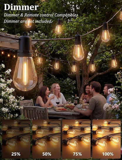S14 Patio String Lights, 48FT Outdoor Patio String Light with 17 Clear LED Bulbs (1 Spare), UL Certified Waterproof Hanging Lights for Outdoor & Indoor - Commercial Grade Black Wire