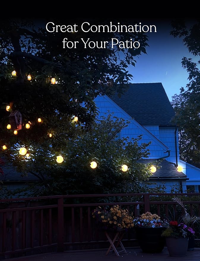 Brightech Orb Outdoor Indoor String Lights - Connectable Set of 2 Frosted Lantern LED String with Weatherproof Globe Lights - Commercial Grade Light Strand for Patio, Porch - 60 Ft, 20 Bulbs Total