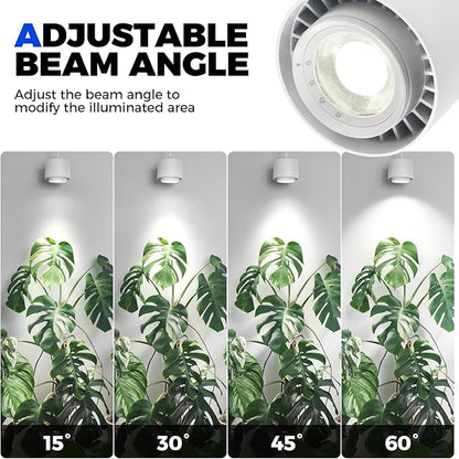 Barrina TR40 Hanging Plant Lights for Indoor Growing, 40W 5000K Full Spectrum, Adjustable Beam Angle (15°-60°), High PPFD, Spotlight Grow Light with Timer for Indoor, Large Tall Plant, Flowers, White