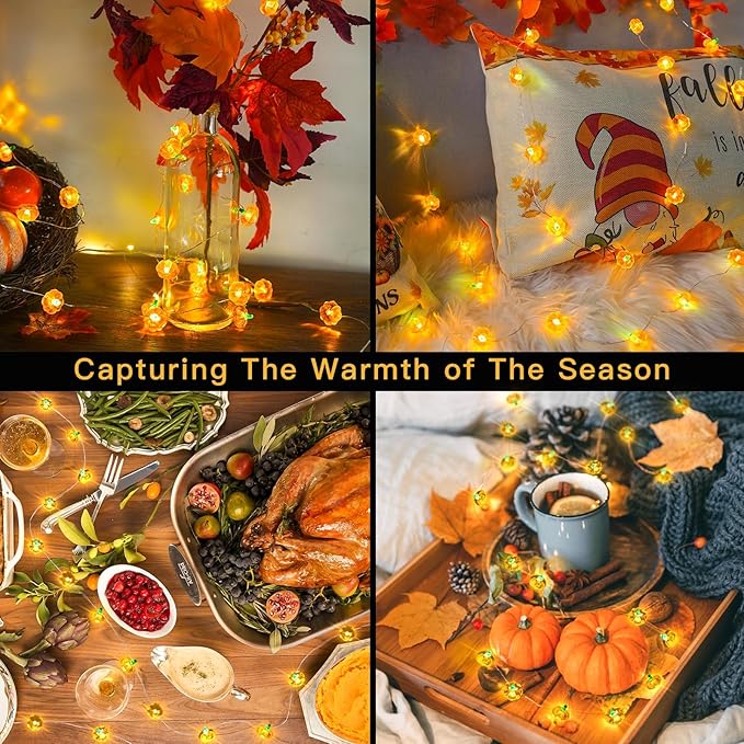 suddus 3D Pumpkin Lights,12.8ft 40 LED Fall Lights Battery Operated with Remote& 8 Modes & Timer, Waterproof Thanksgiving Decorations for Indoor Outdoor Home,Party,Harvest,Hallowee,Thanksgiving Décor