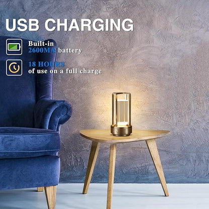 Anxingtools Portable Metal Table Lamp,Cordless Table Lamp, Rechargeable Battery Powered Portable LED Desk Lamp, 3 Color Stepless Dimming Touch, for Bedroom Restaurant Home Outdoor (Silver)