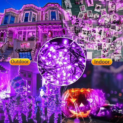 New Upgraded Purple Solar String Lights Outdoor 2 Pack Total 144FT 400LED Solar & USB Rechargeable 19 Mode Solar Halloween Lights for Outside Yard Patio Garden Party Xmas Halloween Decorations, Purple