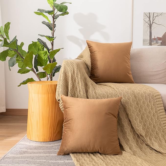 NiNi ALL Decorative Throw Pillow Covers Velvet 22x22 Inch Pack of 2 Brown Cushion Covers Soft for Couch Sofa Bedroom Living Room Outdoor