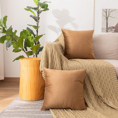 NiNi ALL Decorative Throw Pillow Covers Velvet 22x22 Inch Pack of 2 Brown Cushion Covers Soft for Couch Sofa Bedroom Living Room Outdoor