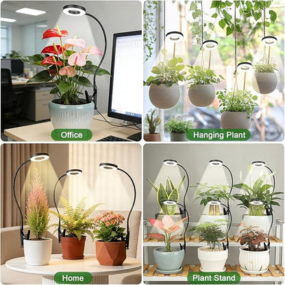 Grow Lights for Indoor Plants - 2 in 1 Grow Lights for Indoor Plants 3 Colors Plant Lights with 360 Gooseneck 48 LEDs Full Spectrum Plant Lights Auto Timer 3/9/12Hrs, 10 Brightness 6 Pack（Black）