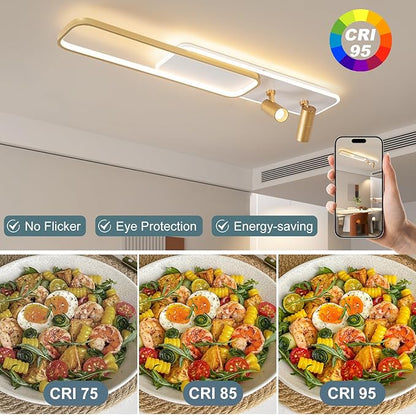 EIDISUNY Modern LED Ceiling Light Remote Control, 39.3in Linear Ceiling Light with 2 Adjustable Spotlights 65W, Dimmable 3CCT, Gold Long Ceiling Light Fixture for Bedroom Kitchen Living Room