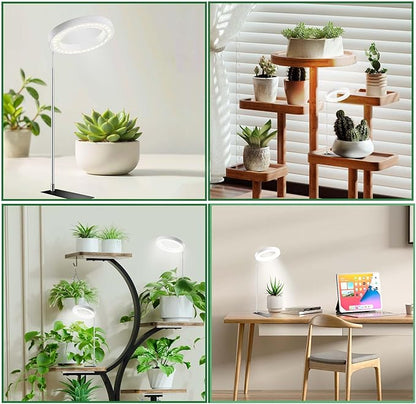 IMVSINCERE Plant Grow Light 72 LEDs Full Spectrum Grow Lights for Indoor Plants,Height Adjustable Small Halo Grow Light with Base,3 Optional Spectrums, Auto Timer 3/9/12H, 10 Brightness, 160MM 5V