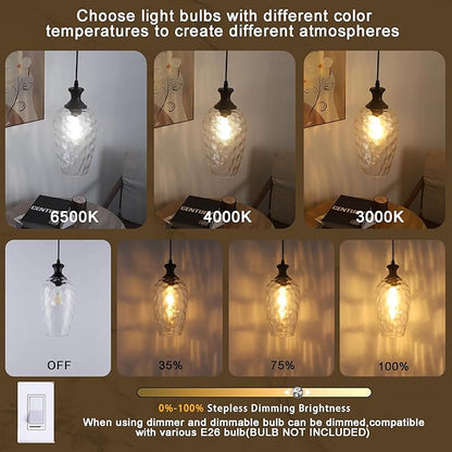 Glass Pendant Lights Kitchen Island 2 Pack, 1-Light Black Pendant Light Fixtures with Hand-Blown Clear Glass, Farmhouse Modern Hanging Light for Kitchen Sink Dining Room Bedroom