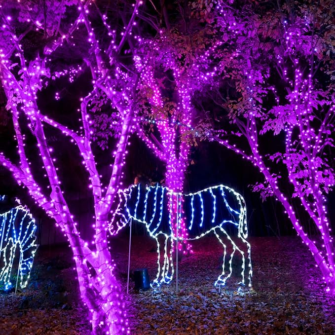 New Upgraded Purple Solar String Lights Outdoor 2 Pack Total 144FT 400LED Solar & USB Rechargeable 19 Mode Solar Halloween Lights for Outside Yard Patio Garden Party Xmas Halloween Decorations, Purple