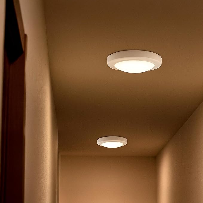 Design House 588160 Paxton Modern Integrated LED Disk Light Indoor/Outdoor Ceiling Flush Mount Dimmable with White Lens Shade for Bathroom Entryway Living Room, White, Satin Nickel