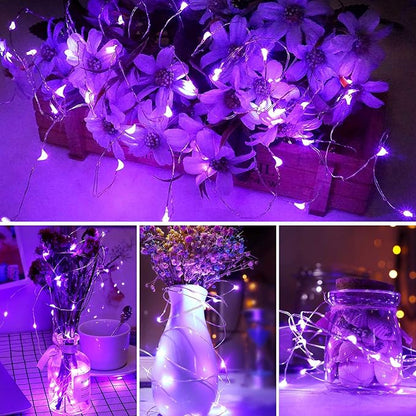 Blingstar USB Powered Fairy Lights, 2 Pack 33Ft 100 LED, Flexible Silver Wire, Mini String Lights for Christmas Tree/Halloween/Bedroom/Camping/Holiday Decoration, Purple