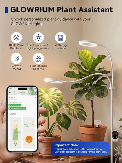 GLOWRIUM Grow Lights for Indoor Plants, 36W Full Spectrum 2-Head LED Plant Light with Stand, Adjustable Height, 3/9/12H Timer, 6 Dimmable Levels & 3 Lighting Modes (White-Double Head)