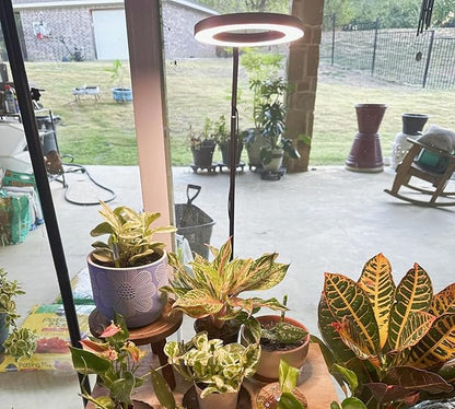 Grow Lights for Indoor Plants, Full Spectrum LED Plant Light with Stand, 67" Adjustable Height, 3/9/12H Timer, 10 Dimmable Levels & 3 Lighting Modes