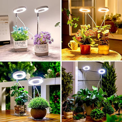 Brightown Plant Grow Light, LED Growing Light for Indoor Plants, 2 Head 96 LED Adjustable Height Growing Lamp with Timer, 3 Dimmable Brightness Levels, Low Safe Voltage, Perfect for Small Plants