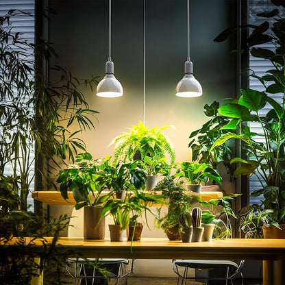 Barrina LED Grow Light Bulb, 50W (2 x 25W) Full Spectrum, with 16.4FT Power Cord, Hanging Grow Lights for Indoor Plants, Large Tall Plant, Garden, Flowers, Greenhouse, 2-Head
