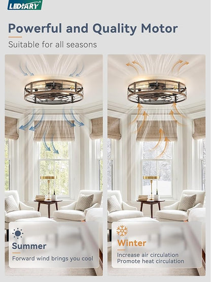 LEDIARY 26 inch Fandelier Caged Ceiling Fan with Light, Bladeless Ceiling Fan with Remote, Farmhouse Fan Lights Ceiling Fixtures for Kitchen, Bedroom, Outdoor(6 Speed, Timing)-Black and Gold