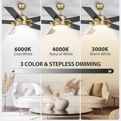 YITAHOME Black Gold Ceiling Fan with Light and Wall Switch Remote, 52 Inch Modern Ceiling Fan, Quiet Reversible Motor, Dimmable Fan with Light for Bedroom Living Room Patio Indoor