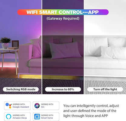 LM053 Bluetooth Mesh 4.2 LED Strip Controller RGB CCT RGBW 5in1 Dimmable Compatible with Smart Life APP/Alexa Echo/Google Assistant Home/Siri, DC12-24V Lights Controller
