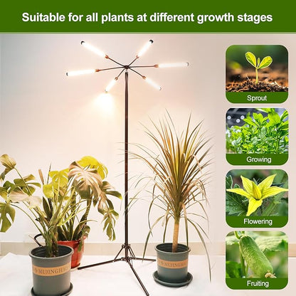 FECiDA 2026 6Head Grow Lights with Upgraded Stand, Big Coverage Grow Lights for Indoor Large Plants, Bonsai Tree, 4/8/12/16/20 Hr Timer, 54 Watt Power Draw, NO Need Adapter, 24"-76" Height Adjustable