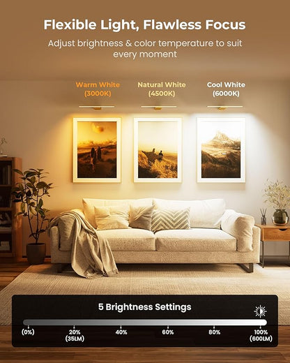 Picture Light for Wall with Remote, Picture Lights Battery Operated Rechargeable 12000mAh, 3 Colors & 3 Timers, Brightness Dimmable for Gallery Poster Frame Painting Photo Art Display (Gold, 2 Pack)
