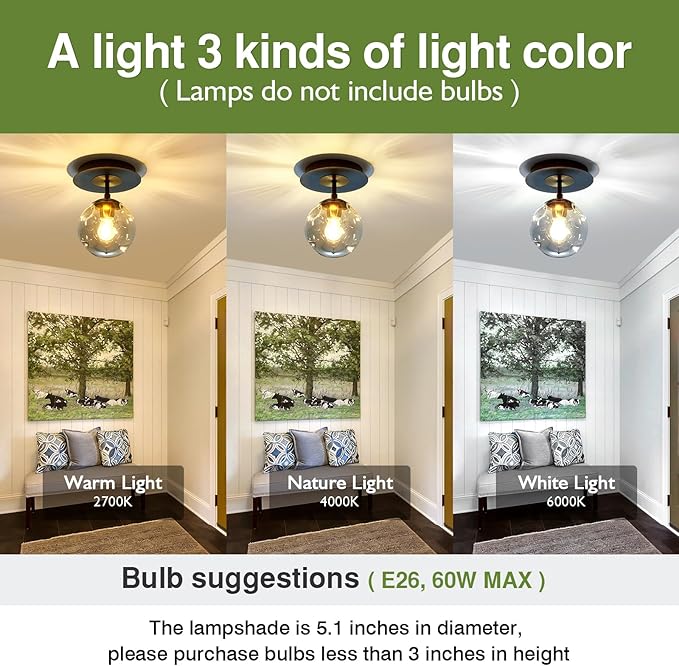 1-Light Mini Glass Globe Ceiling Light,Modern Semi Flush Mount Light Fixture,Black Ceiling Light for Hallway Aisle Porch Stairway Closet.