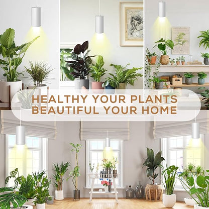 STERREN Pendant Grow Lights,30W Full Spectrum Plant Light with On/Off Switch, Auto Timer White Plug in Hanging Lights for Indoor Plants with 21 FT Height Adjustable Power Cord
