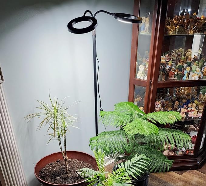 Grow Lights for Indoor Plants, 2-Head Full Spectrum LED Plant Light with Stand, 67" Adjustable Height, 3/9/12H Timer, 10 Dimmable Levels & 3 Lighting Modes