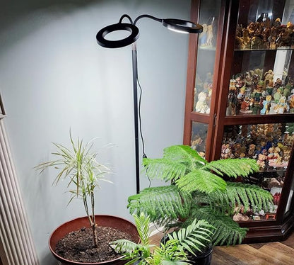 Grow Lights for Indoor Plants, 2-Head Full Spectrum LED Plant Light with Stand, 67" Adjustable Height, 3/9/12H Timer, 10 Dimmable Levels & 3 Lighting Modes
