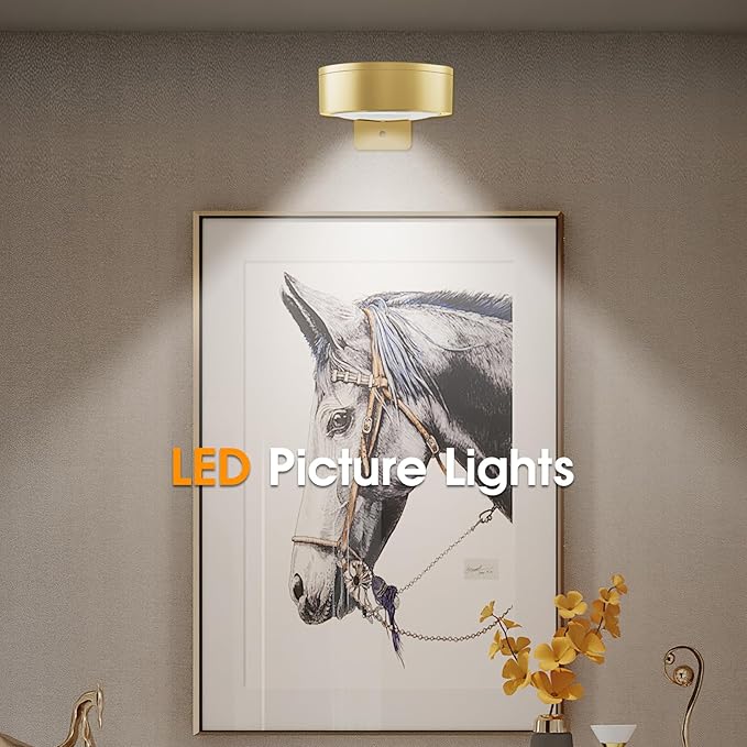 Picture Lights for Wall, 3 Lighting Modes Magnetic Art Display Light,Battery Operated Led Painting Light with Remote Control Dimmable & Timer,6Pack Gold