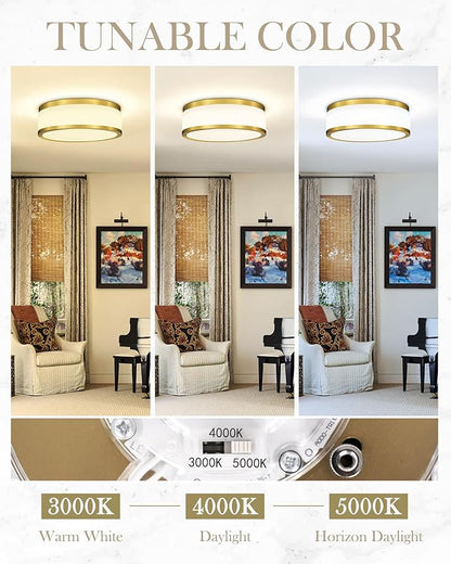 LMS 24W LED Flush Mount Ceiling Light, 15 inch 3CCT 3000K/4000K/5000K, Brushed Gold Close to Ceiling Light for Bathroom, Kitchen, Living Room, LMS-190