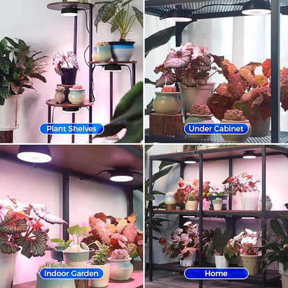 Barrina Orbgrow OG09 Puck LED Grow Light, Pinkish White 36W(4 x 9W, 540 Watt Equiv), Plant Lights for Indoor Plants Full Spectrum, Magnetic & Linkable, Small Grow lamp for Plant Shelf, 4 Packs, Black
