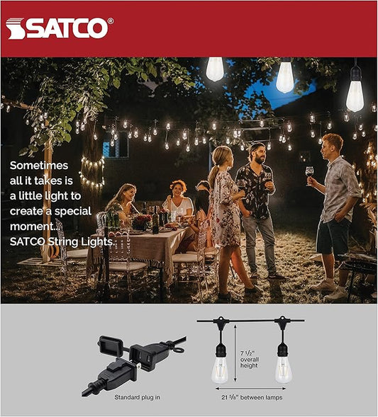 Satco S8036 LED Indoor/Outdoor String Lights, Black, ST19 Bulbs, 24 Feet (Pack of 1)