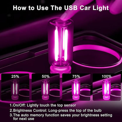 2 Packs USB Light for Car, Touch Dimmable Car Interior Ambient Lights - Portable Mini USB LED Light Bulb, Retro Glass Bottle Night Light for Vehicle, Bedroom, Hallway, Camping(Pink)