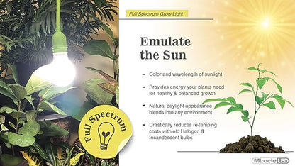 Miracle LEDs Full Spectrum Absolute Daylight Plus Grow Light Bulbs (4-Pack)