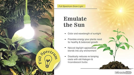 Miracle LED 6.5KK Indoor Grow Light Bulb – 6500K Full Spectrum Grow Bulbs for Vegetables, Herbs, Hydroponics. (2-Pack)