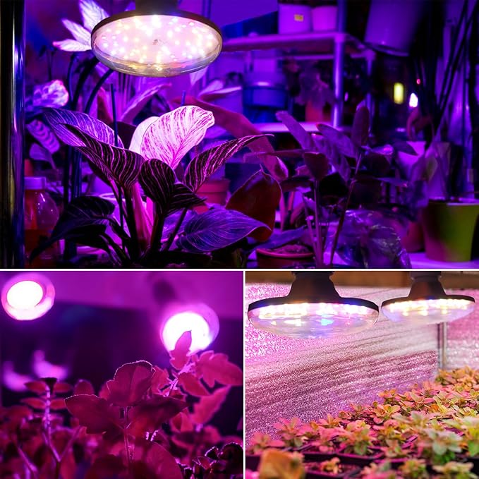 LED Grow Lights for Indoor Plants, Full Spectrum Plant Growing Lamp, E26/E27 10W Grow Light, Red Blue Grow Light for Seeds and Greens