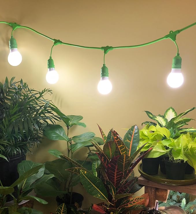 Miracle LEDs Full Spectrum Absolute Daylight Plus Grow Light Bulbs (4-Pack)