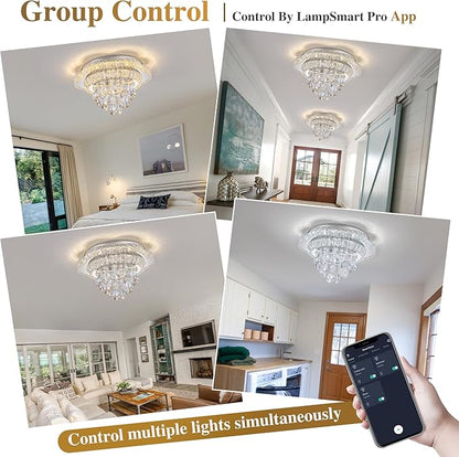 18" Sliver Crystal LED Ceiling Light with Remote Control,Flush Mount Chandelier with 3-Color Dimmable for Living Room Bedroom Dining Room Hallway - Modern Flower Design