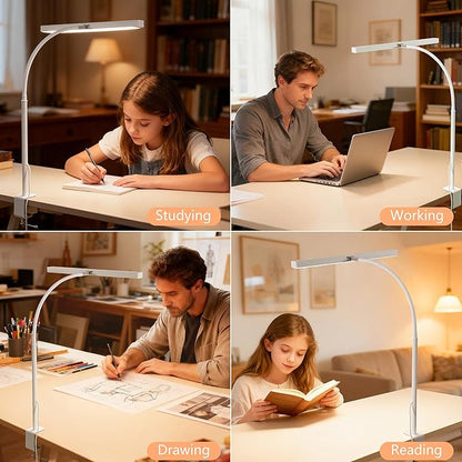 LED Desk Lamp for Office Home, Adjustable Flexible Eye-Caring Desk Light with,5 Modes 10 Brightness Adjustment, USB Adapter Desk Lamp with Clamp-T-W