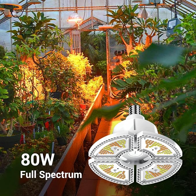 RDJ Bouns Dimmable Grow Light Bulb with Remote Control, 80W Large Full Spectrum Plant Bulb with 4/8/12H Timer, E26 Base LED Grow Lamp for Large Indoor Plants, Monstera, Fiddle Leaf Fig
