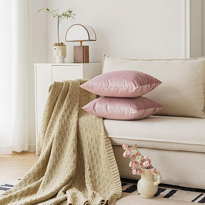 NiNi ALL Decorative Throw Pillow Covers Pack of 2, Velvet Throw Pillow Cases for Couch Pillows Cover Bedroom Living Room Outdoor Pillow Covers 22x22 Inch Dusty Pink