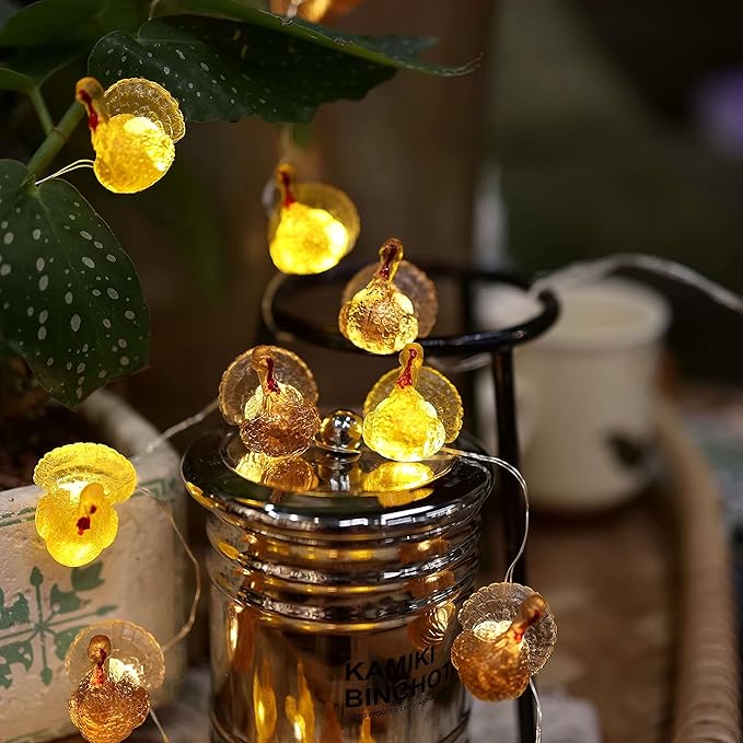 Decorative Fairy Mini Turkey String Lights Autumn Garland Cute Novelty Fall Lights 20 LEDs 8ft Battery Operated for Thanksgiving Centerpiece Decoration Bedroom Wedding Birthday Harvest Decor
