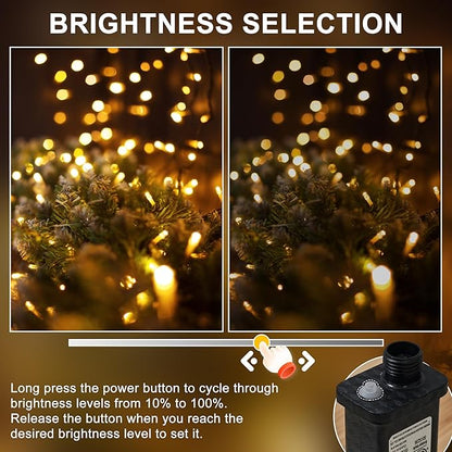 RPGT Christmas Light 500 LEDs 172ft Green Cable Wire Fairy String Outdoor Twinkle Lights Plug in 12 Modes for Xmas Party, Garden, Wedding, Home Decoration (Warm White)